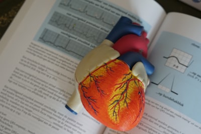 Diabetes care coordinator reviewing medical history